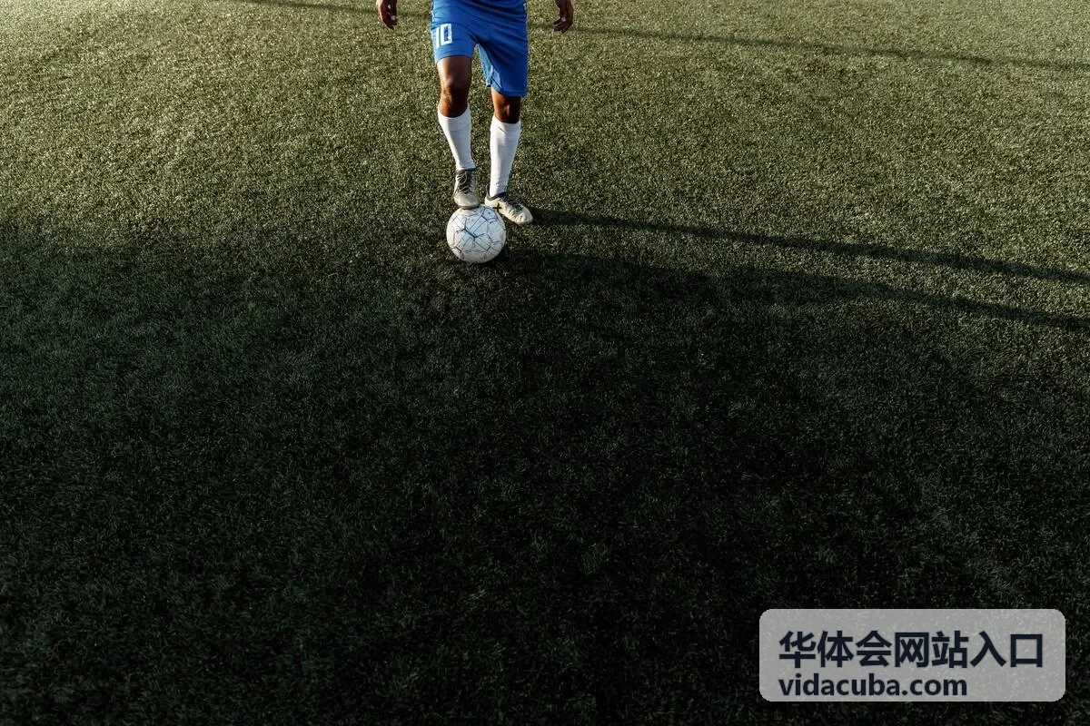华体会网站入口 首页入口位置示意图