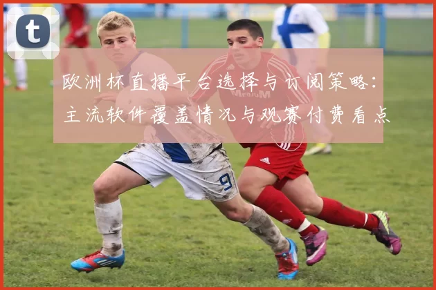 欧洲杯直播平台选择与订阅策略:主流软件覆盖情况与观赛付费看点