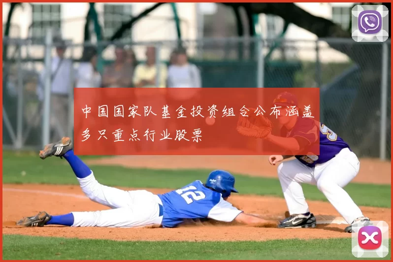 中国国家队基金投资组合公布涵盖多只重点行业股票