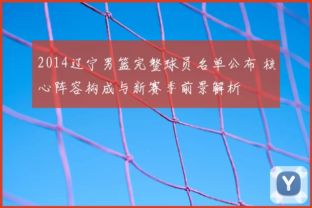 2014辽宁男篮完整球员名单公布 核心阵容构成与新赛季前景解析