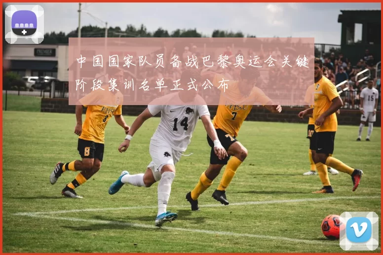 中国国家队员备战巴黎奥运会关键阶段集训名单正式公布