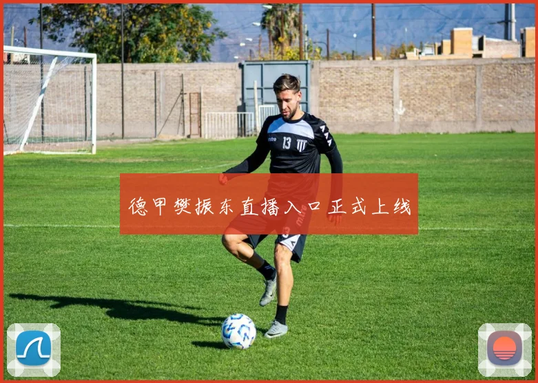 德甲樊振东直播入口正式上线
