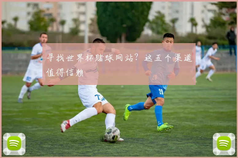 寻找世界杯赌球网站？这五个渠道值得信赖