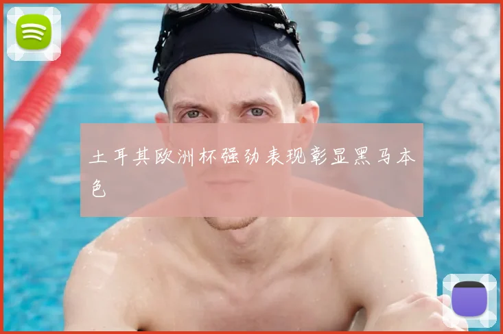 土耳其欧洲杯强劲表现彰显黑马本色