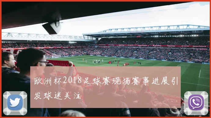 欧洲杯2018足球赛现场赛事进展引发球迷关注