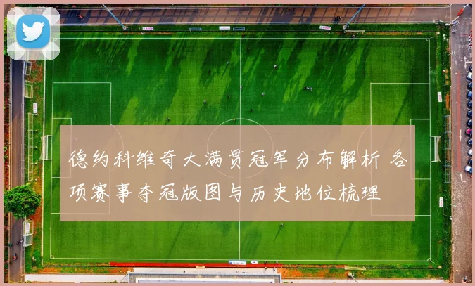 德约科维奇大满贯冠军分布解析 各项赛事夺冠版图与历史地位梳理