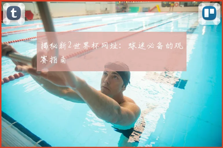 揭秘新2世界杯网址:球迷必备的观赛指南