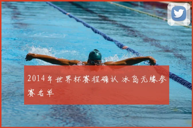 2014年世界杯赛程确认 冰岛无缘参赛名单