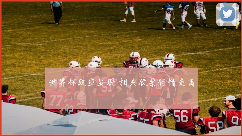 世界杯效应显现 相关股票行情走高