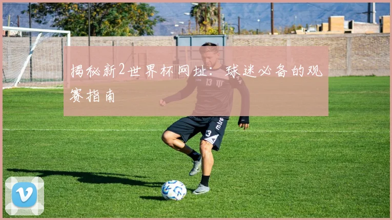揭秘新2世界杯网址:球迷必备的观赛指南