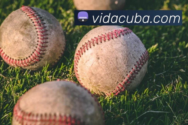 NBA星空最新动态 聚焦詹姆斯库里约基奇冲冠之路与季后赛看点